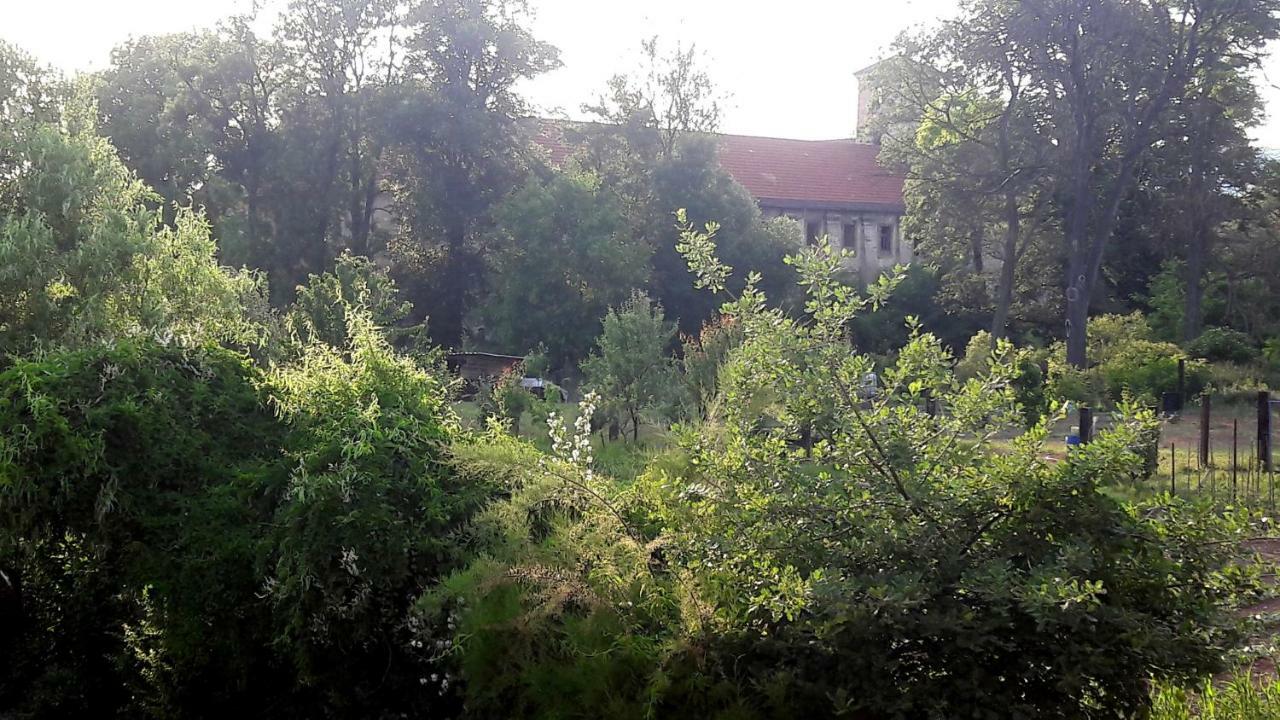 Pivovar Spitt Zahorany Litomerice Exterior foto